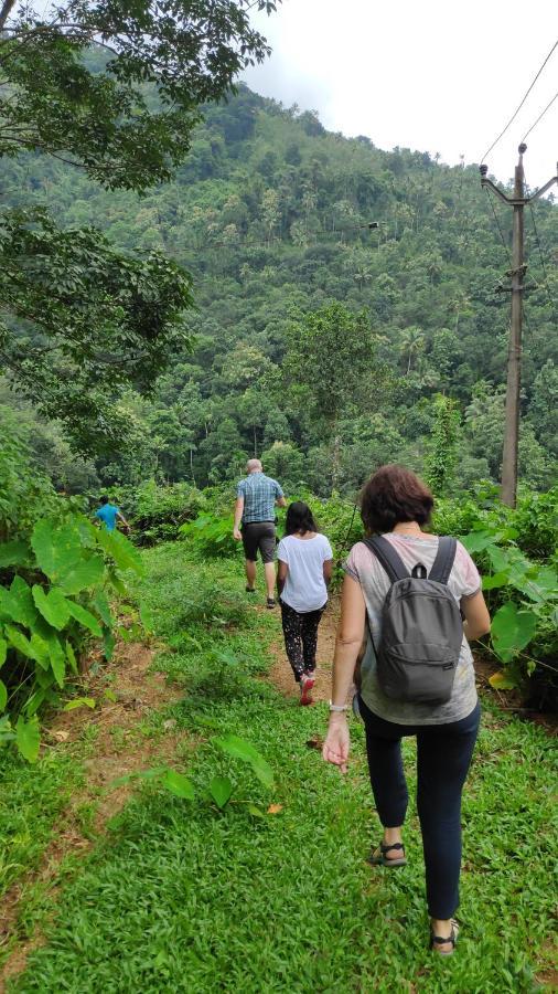 Vanilla County Heritage Plantation Bungalow Vagamon Luaran gambar