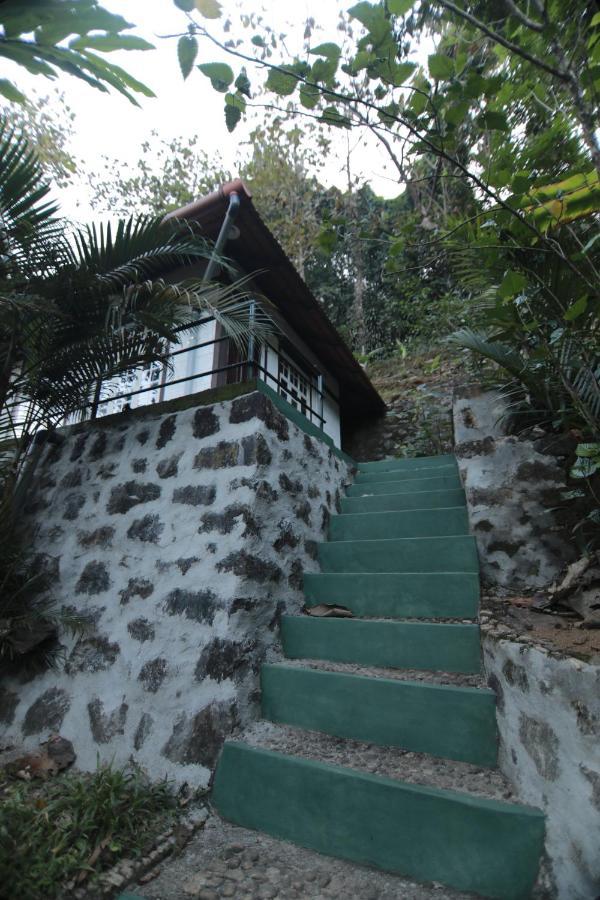 Vanilla County Heritage Plantation Bungalow Vagamon Luaran gambar