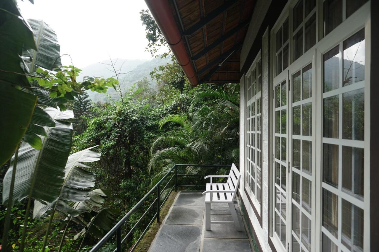 Vanilla County Vagamon Luaran gambar