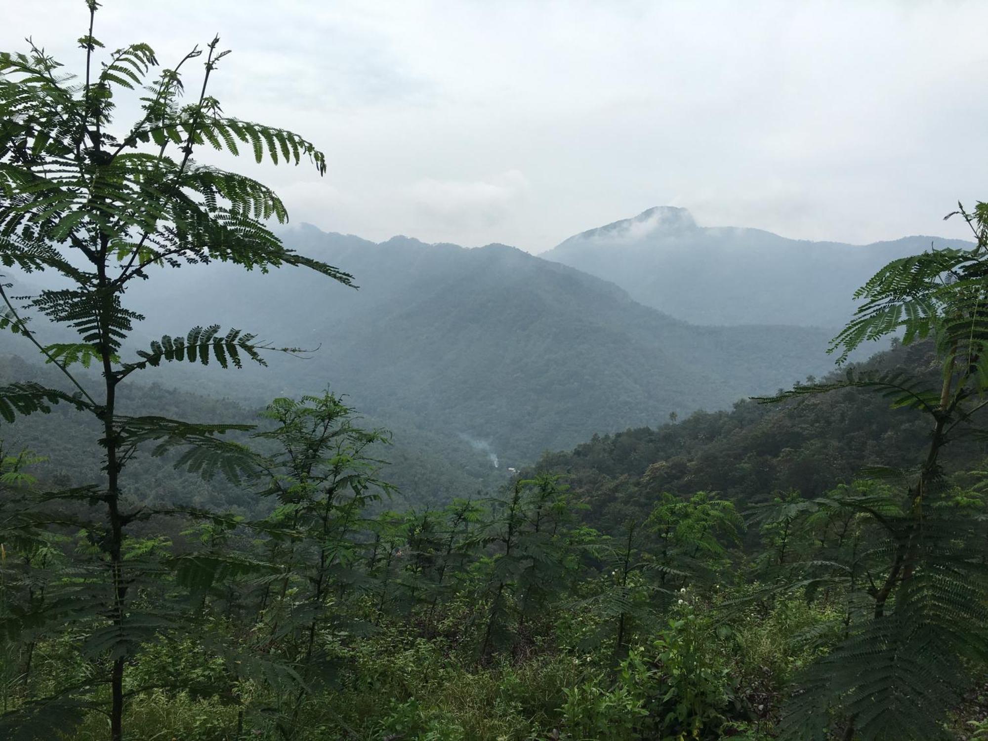 Vanilla County Vagamon Luaran gambar