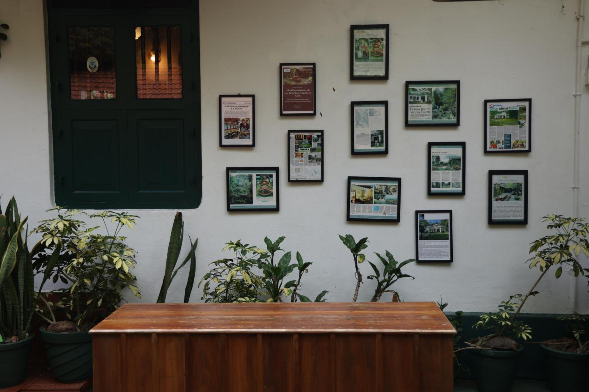 Vanilla County Vagamon Luaran gambar