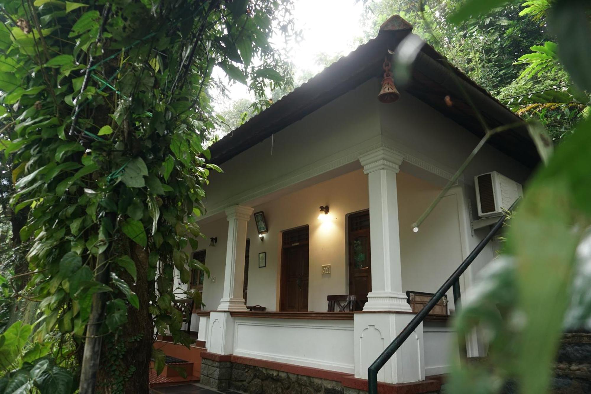 Vanilla County Vagamon Luaran gambar